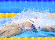 开云体育登录-沙漠风暴席卷西奈，2026世界杯F组关键战，阿联酋完胜越南，维尼修斯领衔亚洲新势力崛起