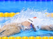 开云体育登录-沙漠风暴席卷西奈，2026世界杯F组关键战，阿联酋完胜越南，维尼修斯领衔亚洲新势力崛起