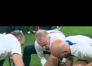 开云体育官网-重返巅峰！足球场上的精彩瞬间让人热血澎湃的简单介绍