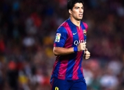 开云体育平台APP-福克斯闪耀全场，公牛队强势终结吉林队连胜神话