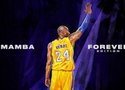 开云体育中国-法网完胜ATP总决赛，梅德韦杰夫带队取胜，红土王朝新秩序的崛起