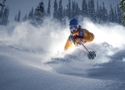 开云官网-从草地到硬地，穆雷戴维斯杯轻取温网，诠释何为真正的冠军时刻