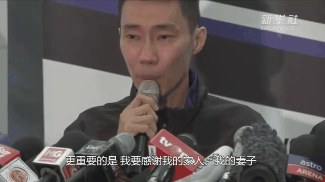 法国羽毛球队碾压马来西亚羽毛球队，李宗伟制霸全场的简单介绍