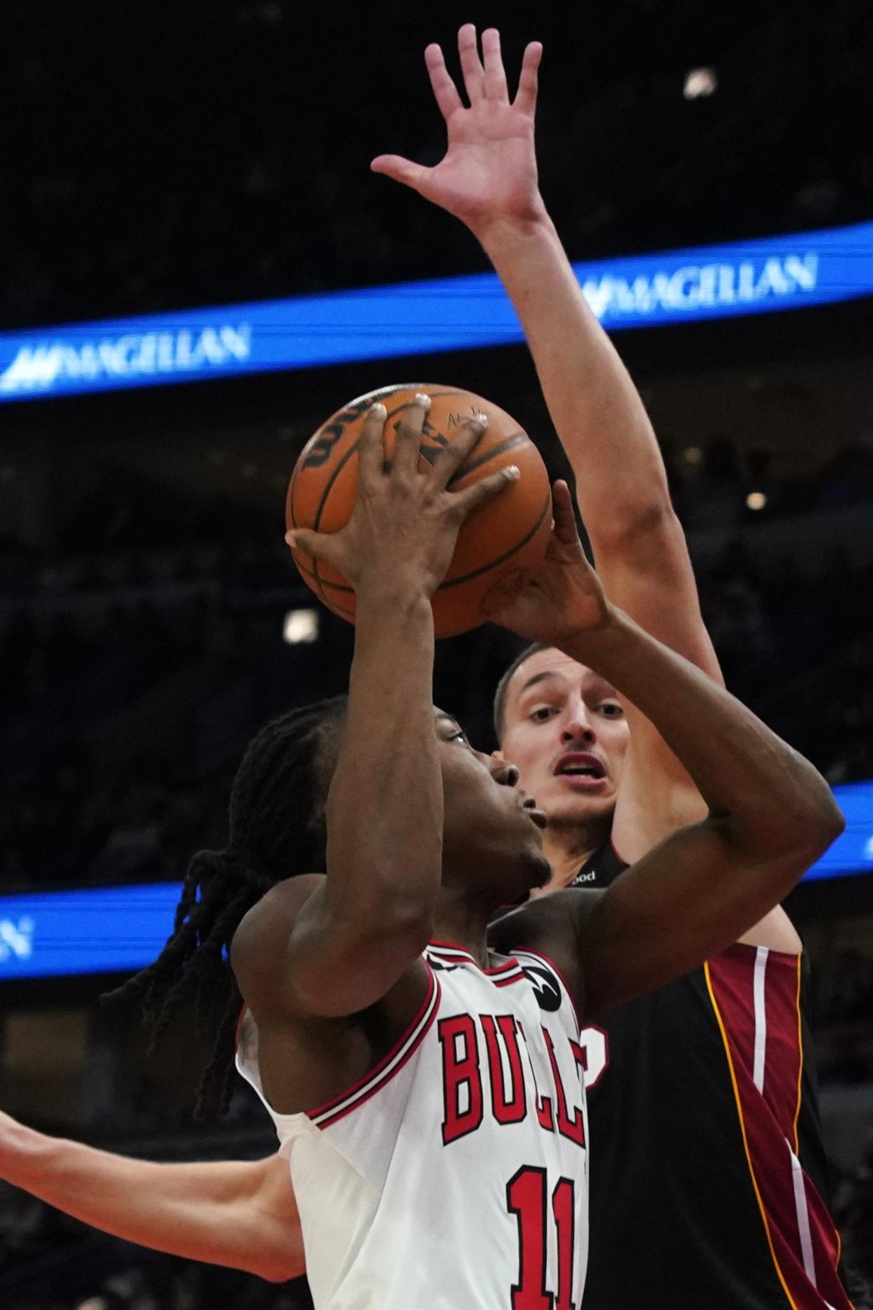 包含公牛球员训练备战，全力以赴夺冠的词条