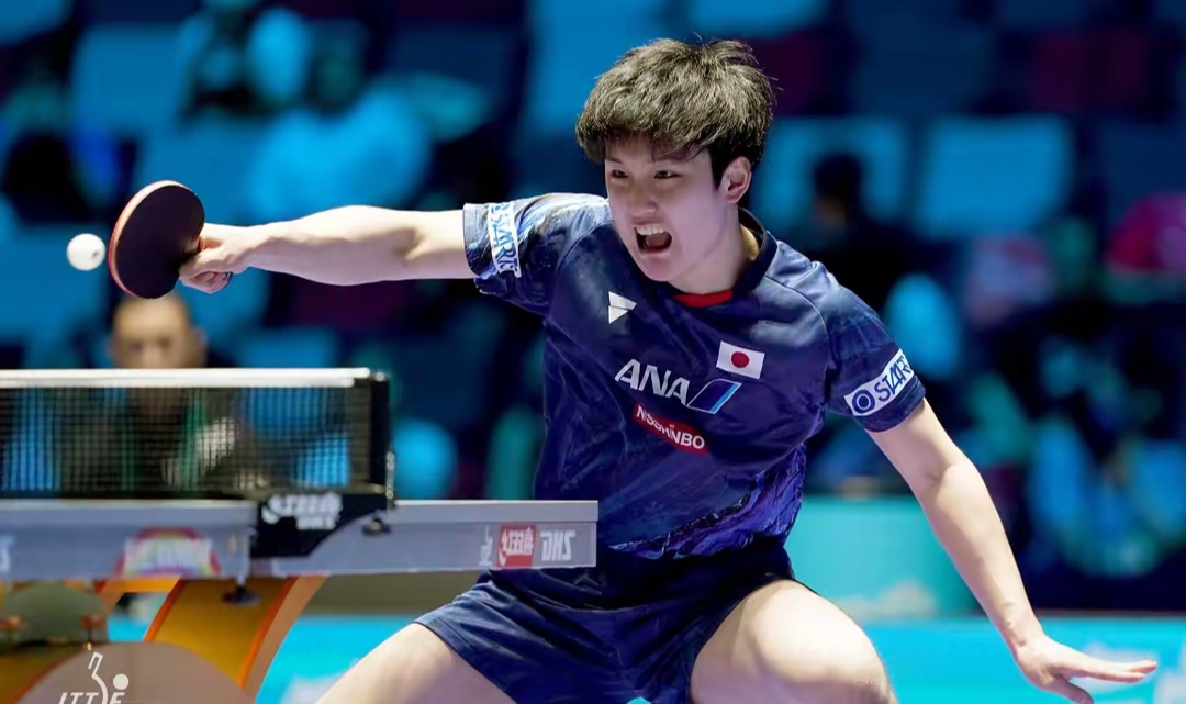 包含日本乒乓球队绝杀波兰乒乓球队，张本智和爆发神勇的词条