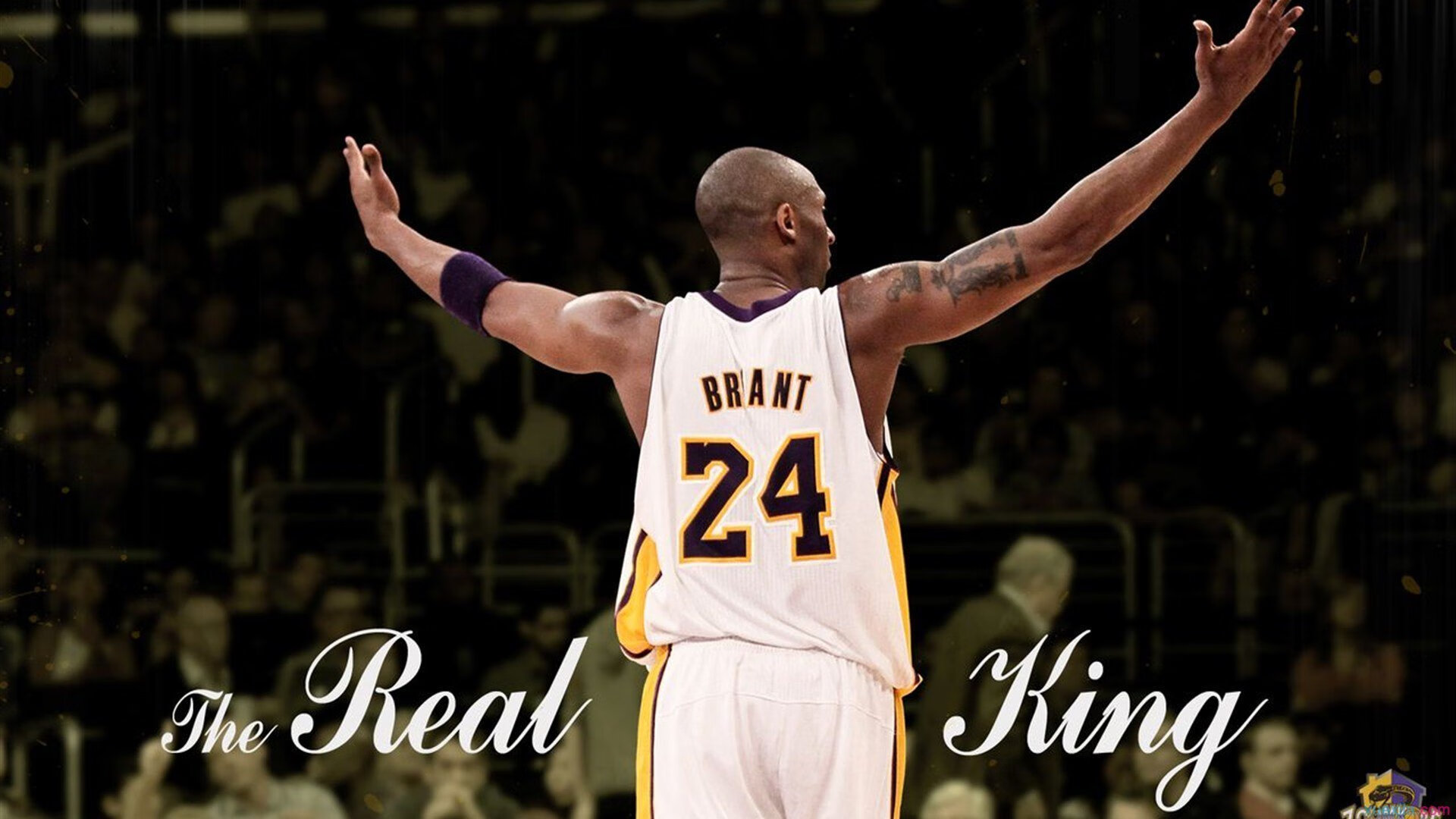 英格拉姆爆发引领爵士式团队胜利，浙江队淘汰赛遗憾出局