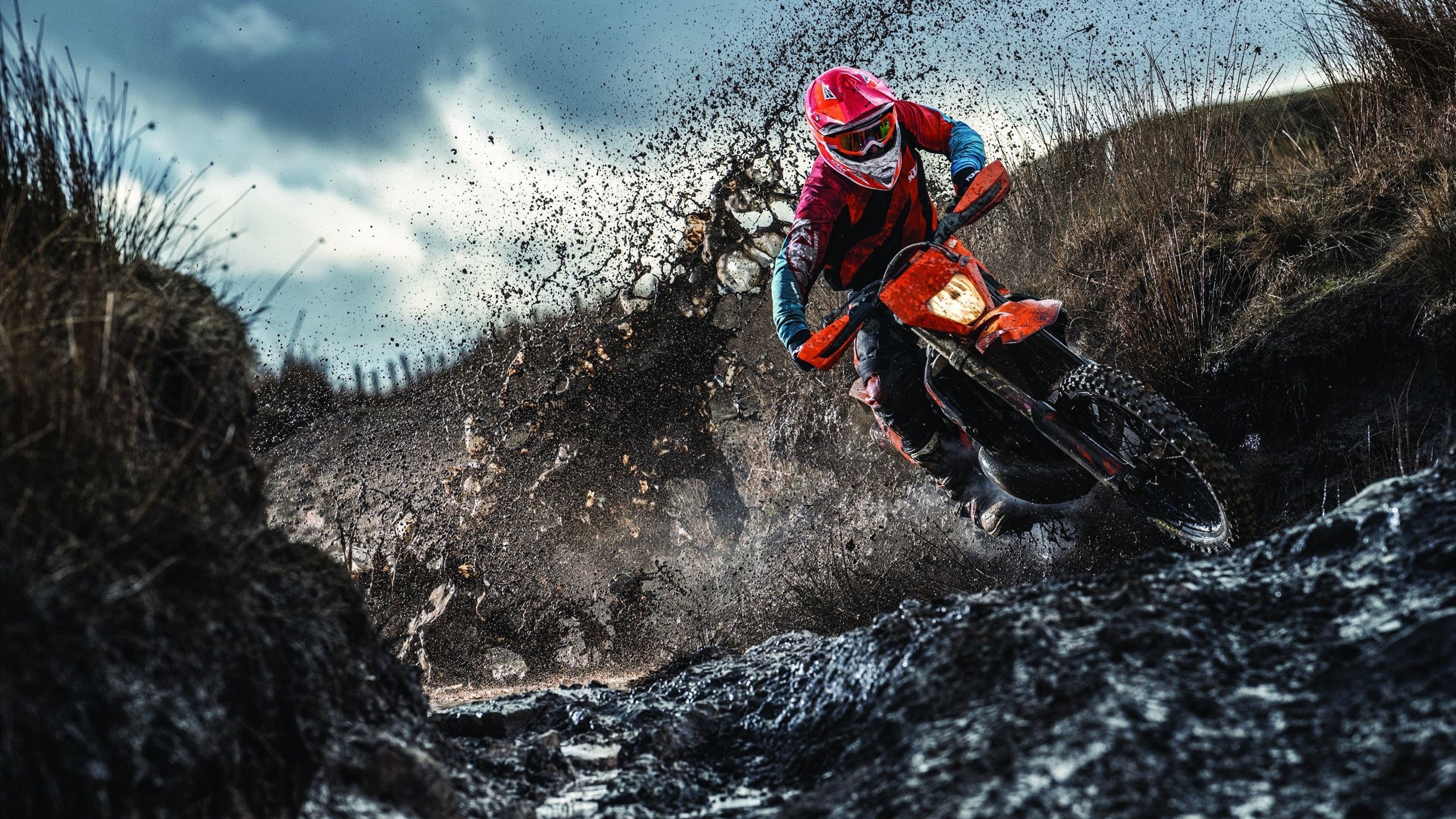 绿茵场上的绝地反击，乒乓台前的炽热状态，体育精神的多元闪耀